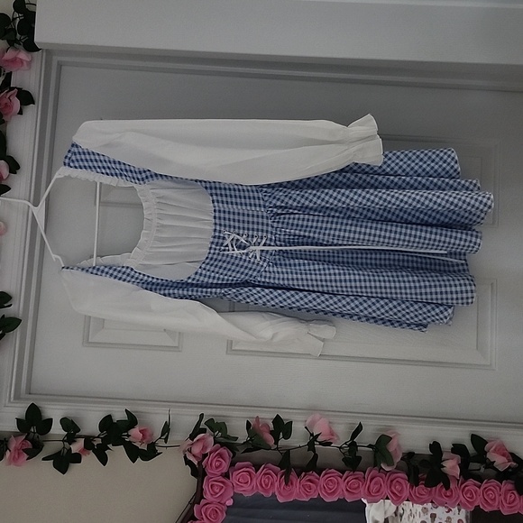 Elegant Blue Gingham Dress with White Blouse - Picture 2 of 5